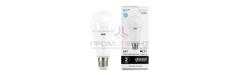 Лампа Gauss Elementary A67 30W 2390lm 6500K E27 LED 1/10/50
