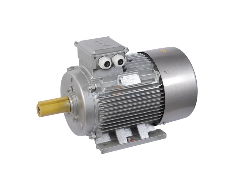 Электродвигатель асинхронный 3ф. АИР 200M6 660В 22кВт 1000об/мин (лапы) 1081 DRIVE IEK