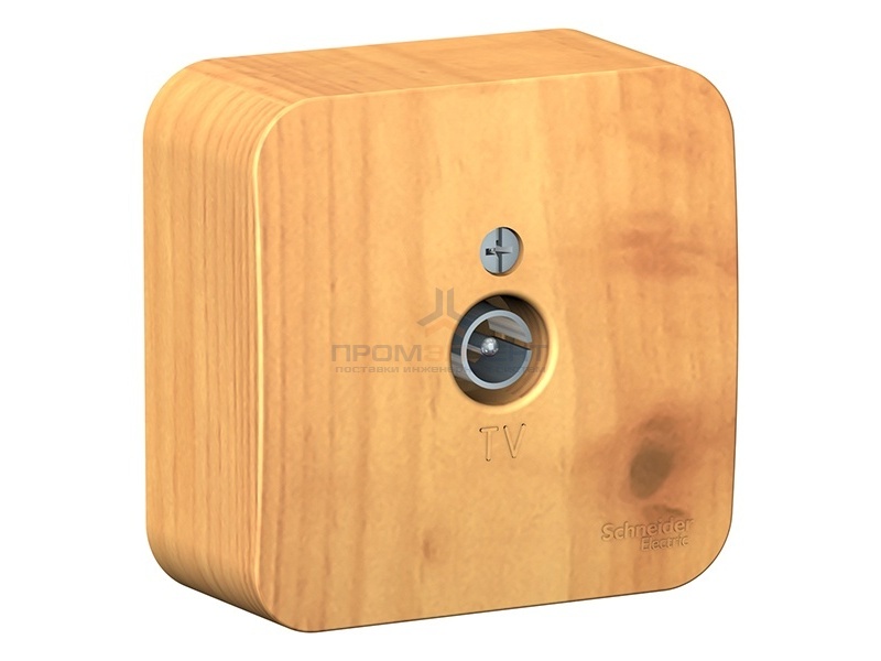 Розетка ТВ Blanca Schneider Electric ясень изол.пластина