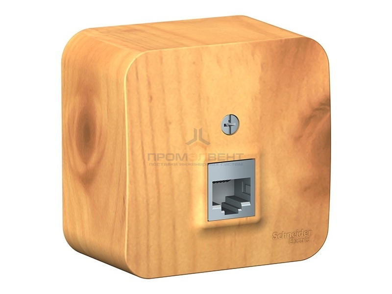 Розетка телефонная RJ11 Blanca Schneider Electric ясень изол.пластина